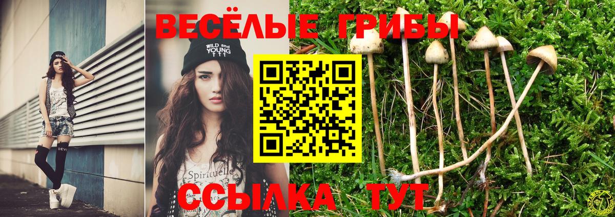 Псилоцибиновые грибы GOLDEN TEACHER Чехов